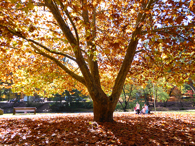 Picnic LunchPhotography by Sharon Alston